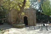 Ephesus Hillside בית הארחה